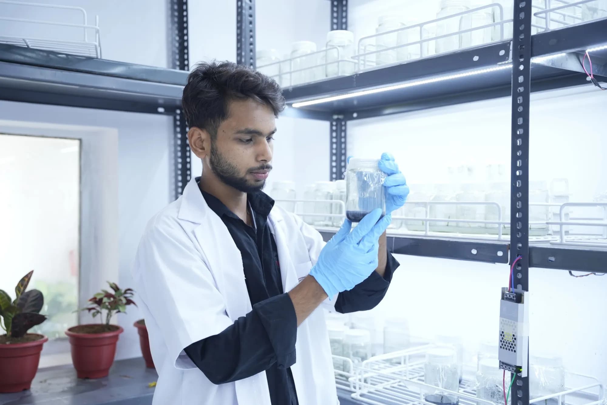 Trainee examining a culture jar beside potted mother plants in the tissue culture lab
